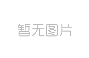 鲍鱼菇的栽培技术